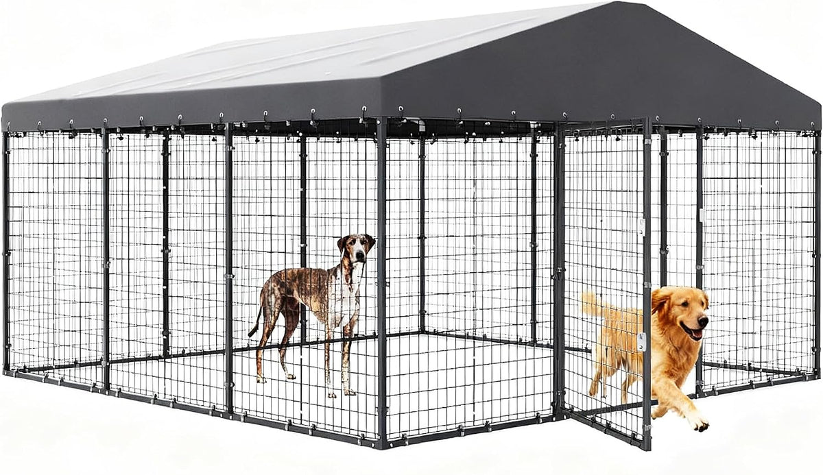 Dog Kennel Outdoor 10 x10 x6 FT, Dog Cage Outdoor for Medium/Large Dogs with Waterproof Roof Double Secure Locks
