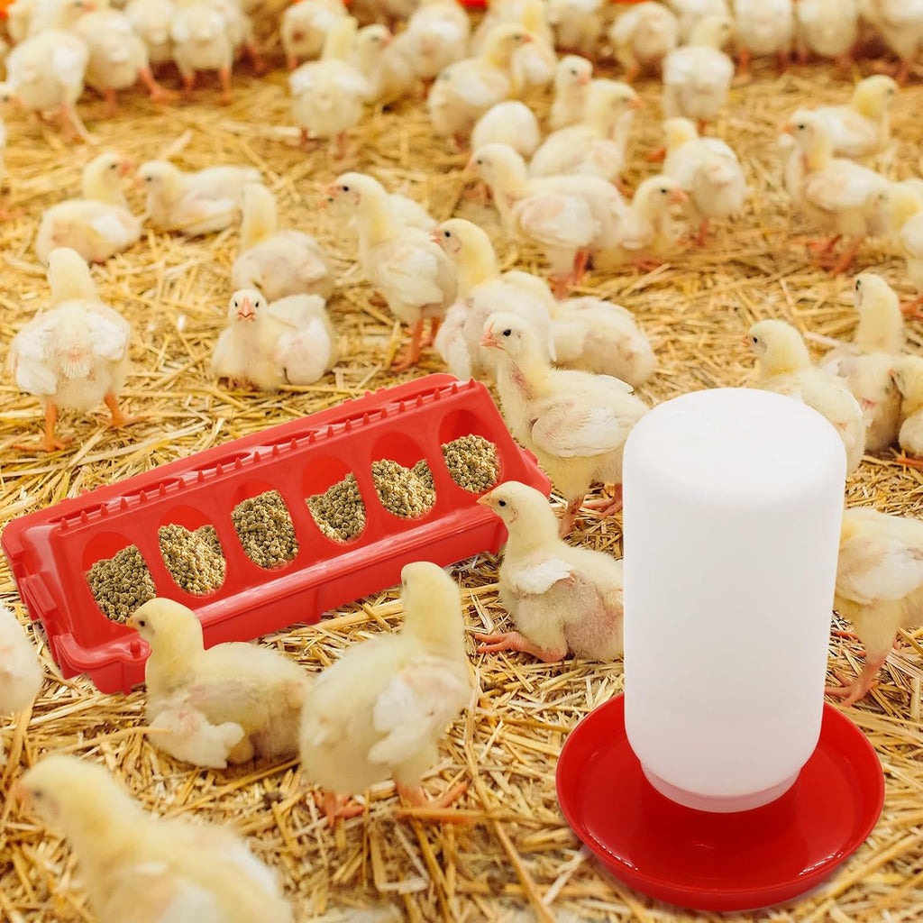 Chicken Feeder and Waterer Kit