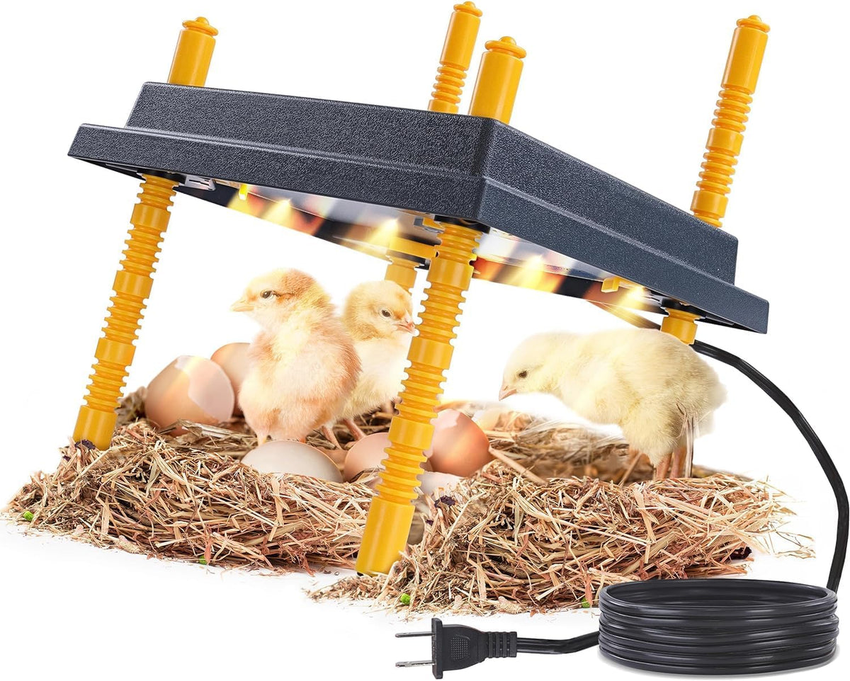 Premier 1 Chick Brooder Heating Plate – 12"x12", Warms Up to 20 Chicks