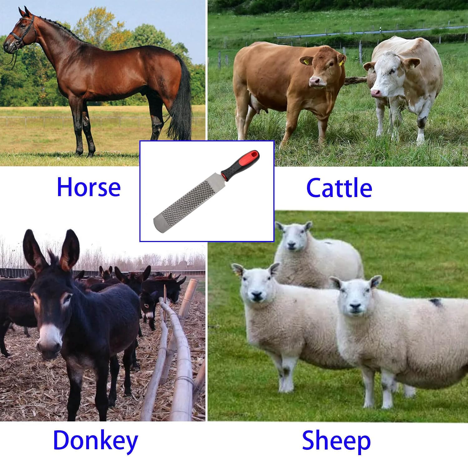 12 Inch Hoof Rasp, Horseshoe File with Rubber Handle, Carbon Steel Farrier File Tool, Suitable for