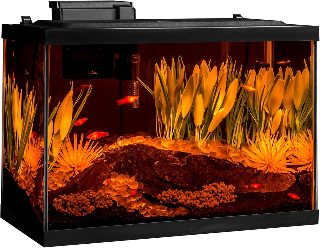 Color Complete 20 Gallon Fish Tank Kit for Freshwater, Saltwater Fish
