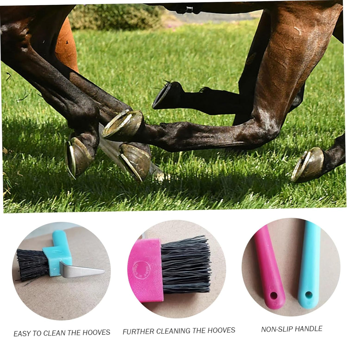 Horse Hoof Pick, Hoof Pick 4Pcs Handheld Replacement Portable Horse Brush with Hanging Hole Cleaning Supplies, Random