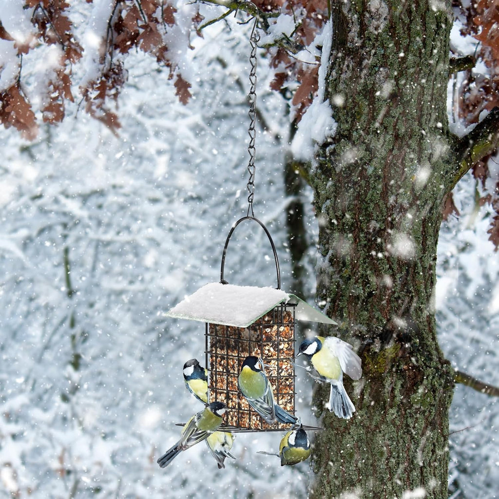 Bird Feeder for Outdoors, Squirrel Proof Suet Feeder for Outside Hanging