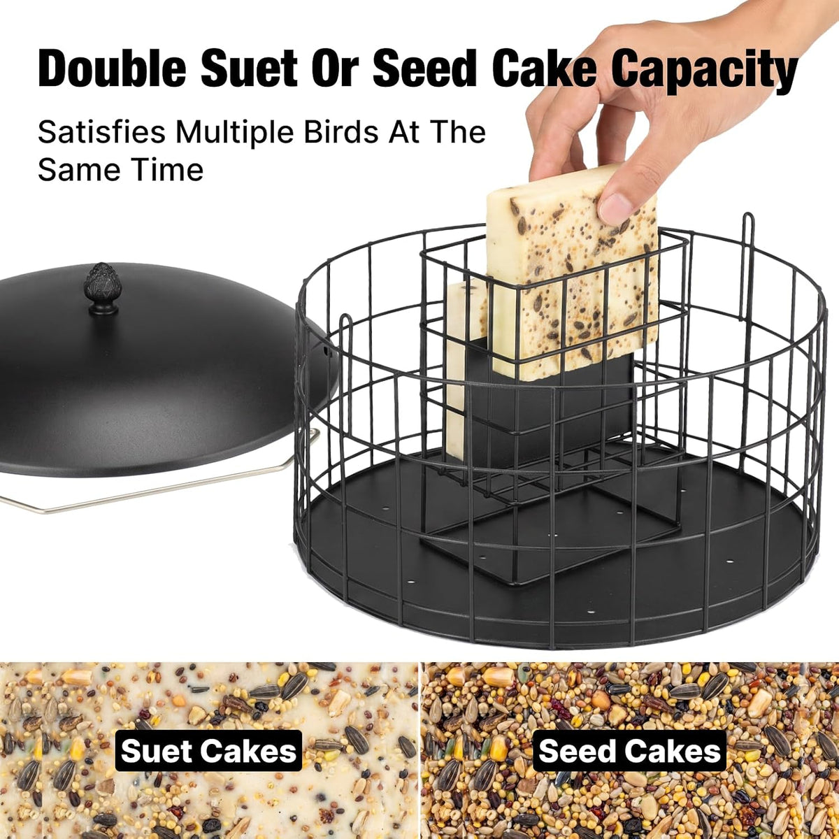 Squirrel Proof Suet Feeder for Woodpeckers, All Metal Caged Feeders