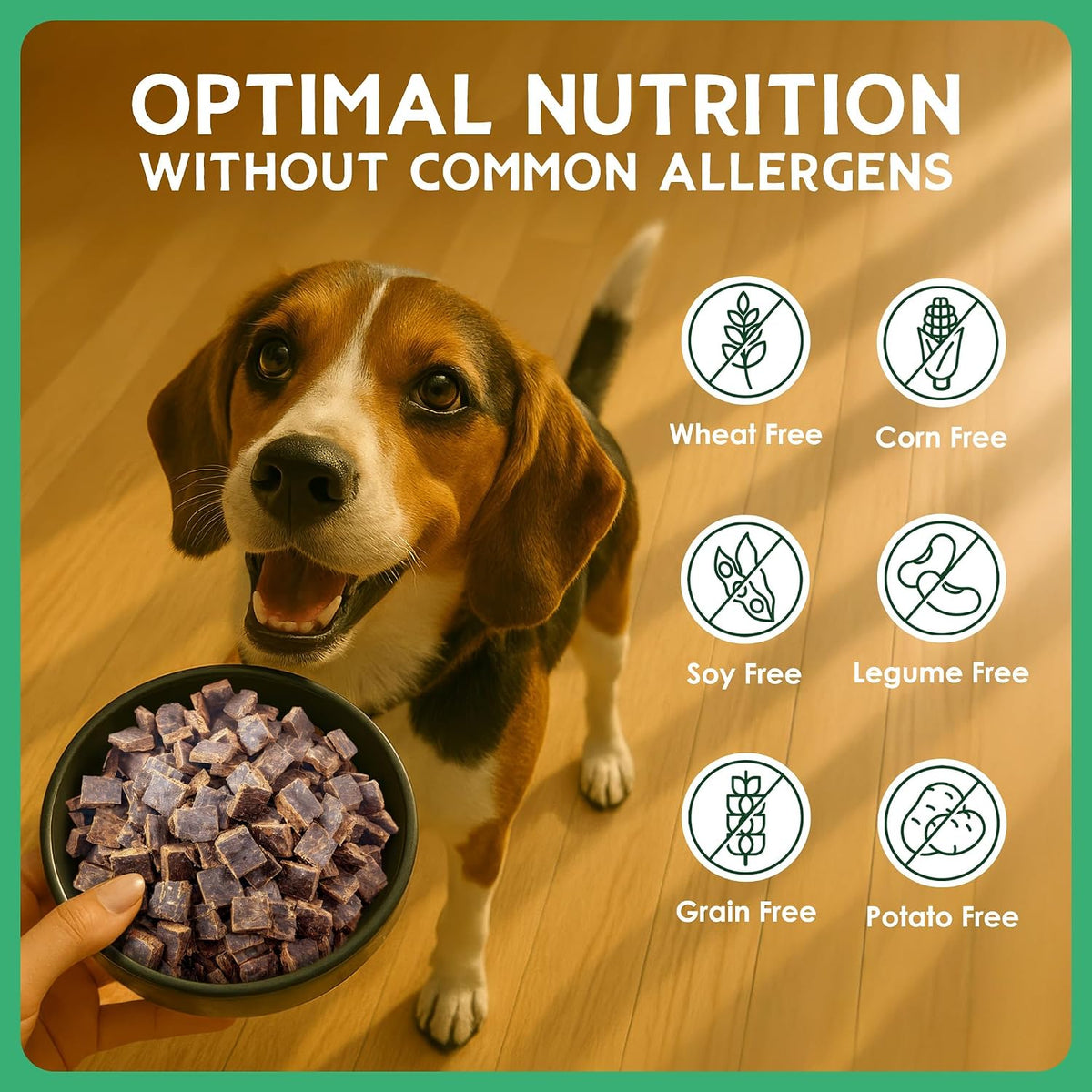 The Good List Air-Dried Dog Food, Premium Beef & Bone Broth for Dogs, Protein Rich & Grain-Free Nutrition, 1 Pound Bag