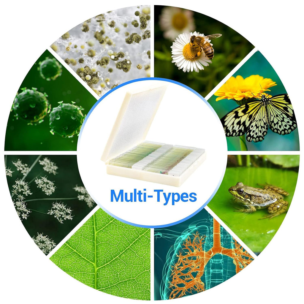 100 Prepared Microscope Slides with Specimens for Kids Adults - Bacterium, Fungus, Human Tissues, Mitosis, Plants