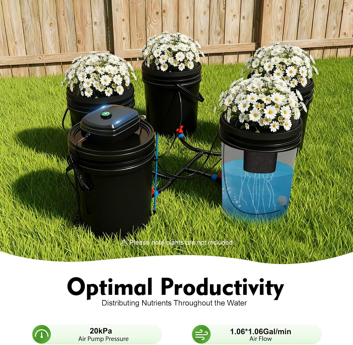 Hydroponic Growing System Kit - 4 Bucket Deep Water Culture DWC Setup with Air Pump - Soil-Free Indoor Gardening for