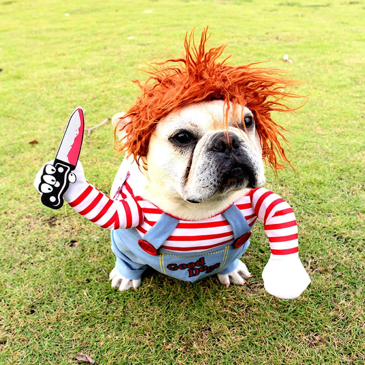 Dog Halloween Costumes, Pet Deadly Doll Dog Costume Funny Dog Costumes Dog Halloween Costume Clothes for Small Medium
