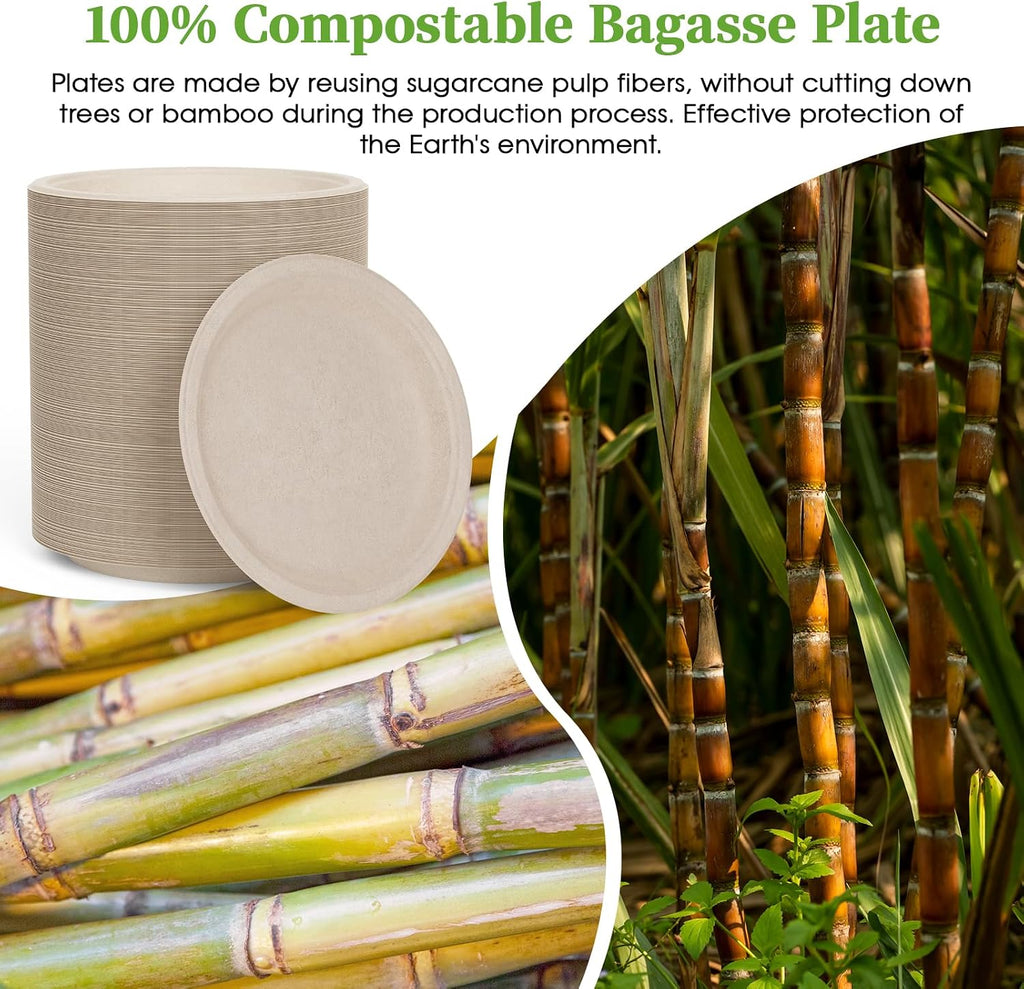 6 in 200 Pack Natural Disposable Compostable Dessert Paper Plates