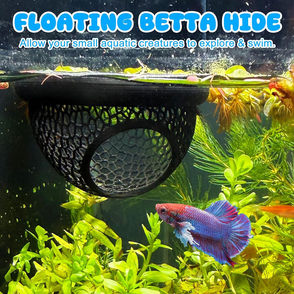 Floating Betta Hide & Shrimp Cave – 3D Printed Aquarium Decor, Multi-Functional Hammock, Feeding Ring & Safe Resting