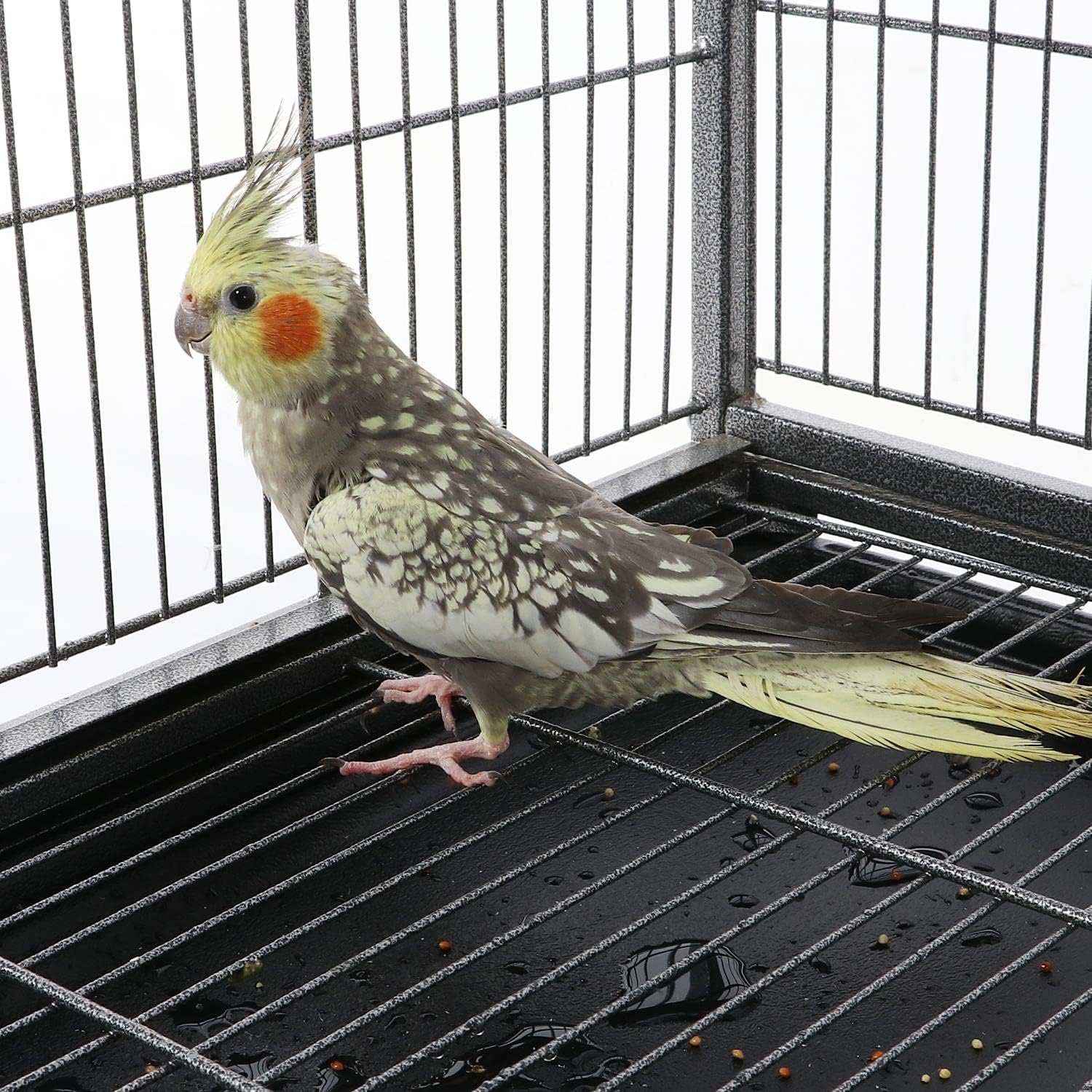 Wrought Iron Large Flight Parrot Bird Cage with Rolling Stand for Multiple Parakeets Conure Cockatiel Cage