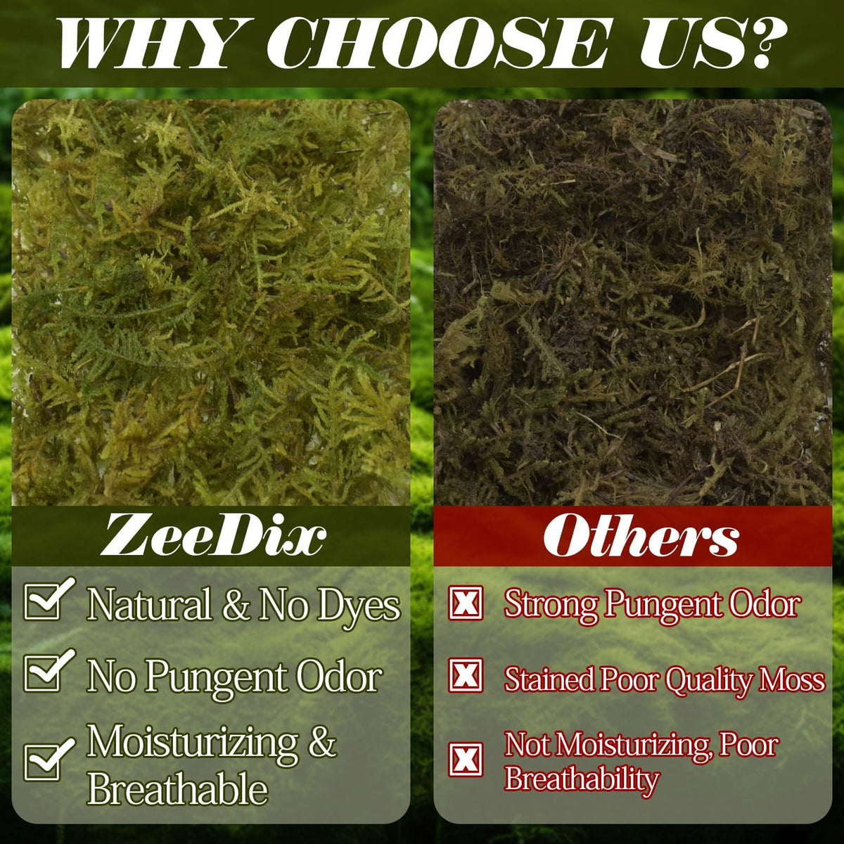 2.2 lb Sphagnum Moss for Reptiles