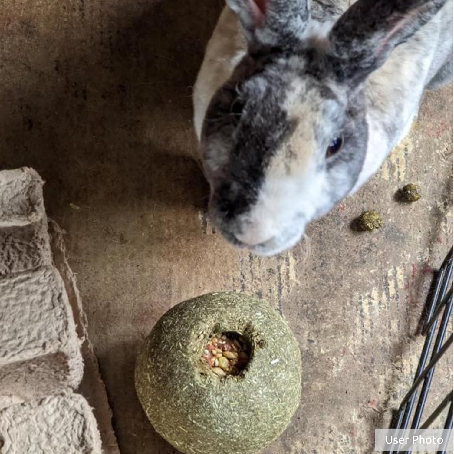 Timothy Roll 'n' Toss Toy and Treat for Rabbits, Guinea Pigs | Dental support. Edible rabbit toys for play. 100%