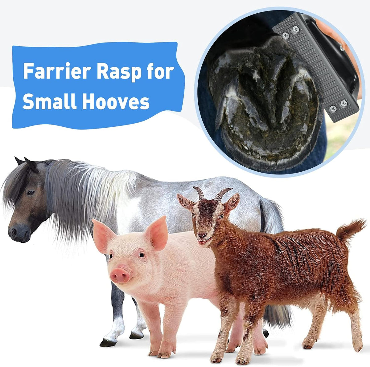 Goat Hoof Rasp File, Farrier Rasp for Small Hooves, Goat and Small Animals