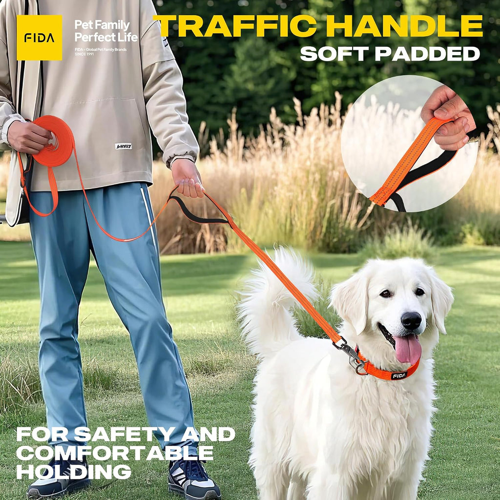 Obedience Recall Training Agility Lead, 30FT Long Dog Leash, Orange