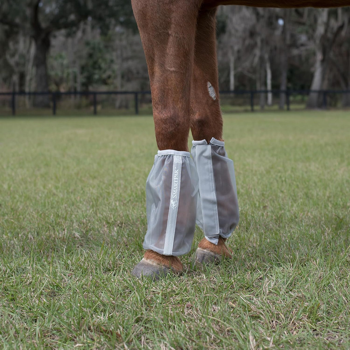 Deluxe Relaxed Fit Fly Boots for Horses, Pair (2), Horse Size