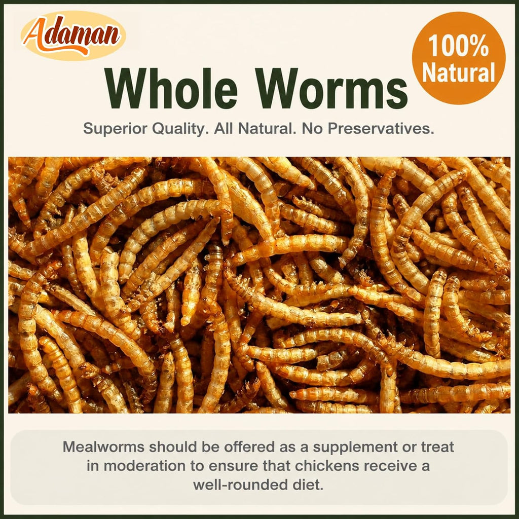 Dried Mealworms 10 LB, Chicken Feed for Laying Hens & Wild Birds