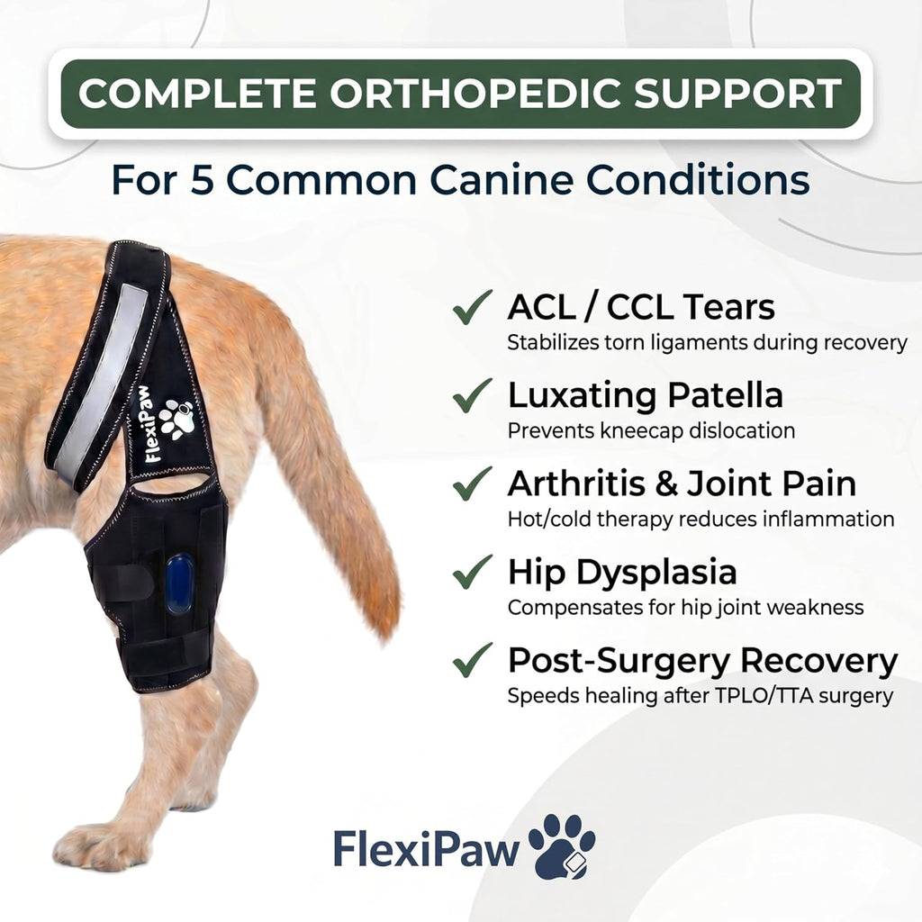 Dog Knee Brace for Torn ACL and CCL, Rear Hind Leg Brace for Dogs, Back Leg Support for Cruciate Ligament Tears, Cold