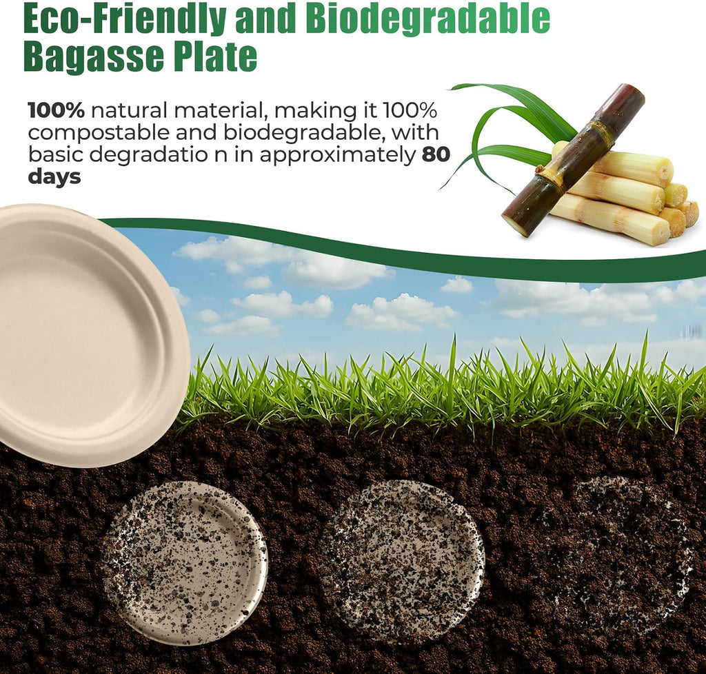 250 Piece Biodegradable Paper Plates Set Disposable Dinnerware Set, Eco Friendly Compostable (EXTRA LONG UTENSILS)