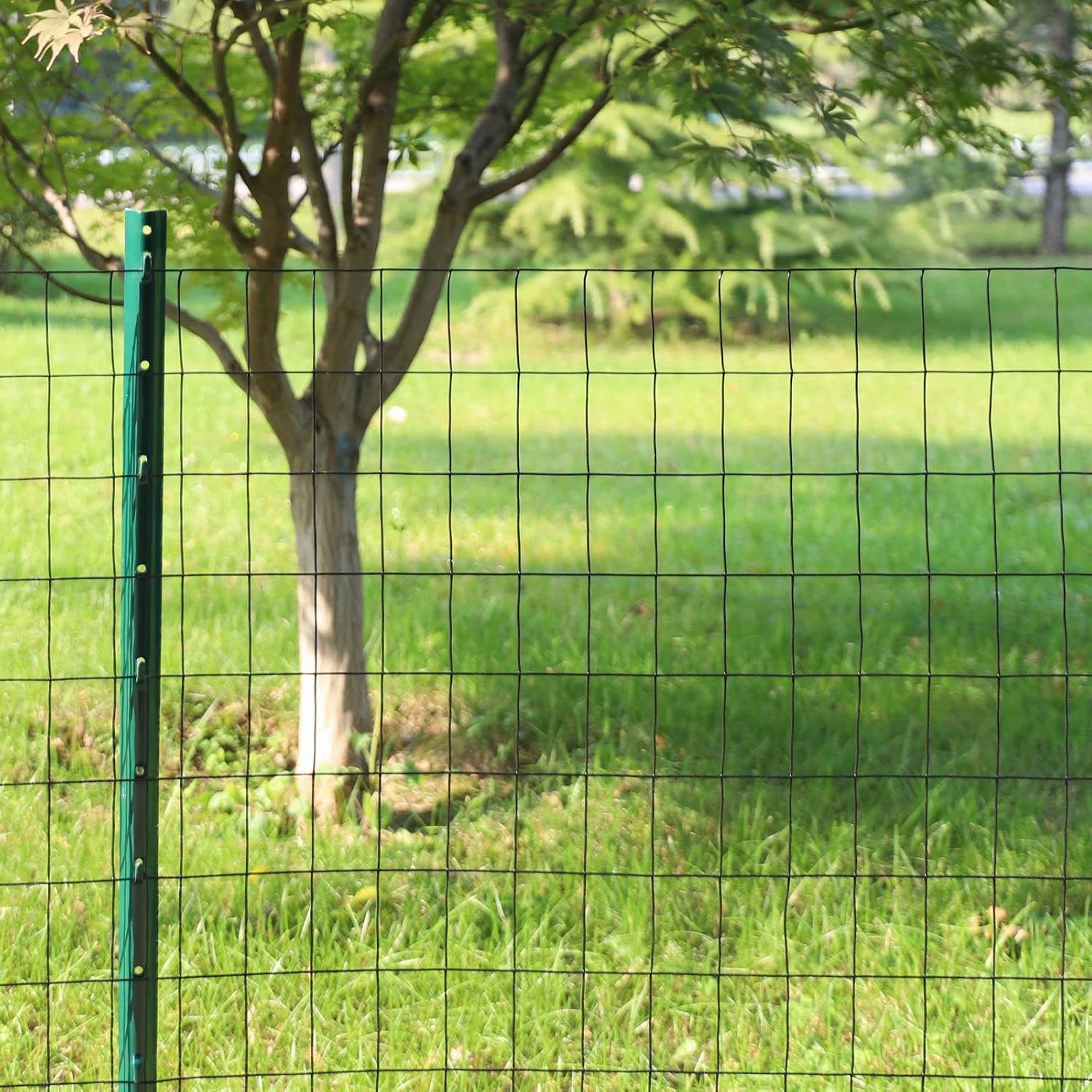 Black PVC Coated Welded Wire Fence 48" x 50' Roll, 2"x3" Mesh, 16 Gauge