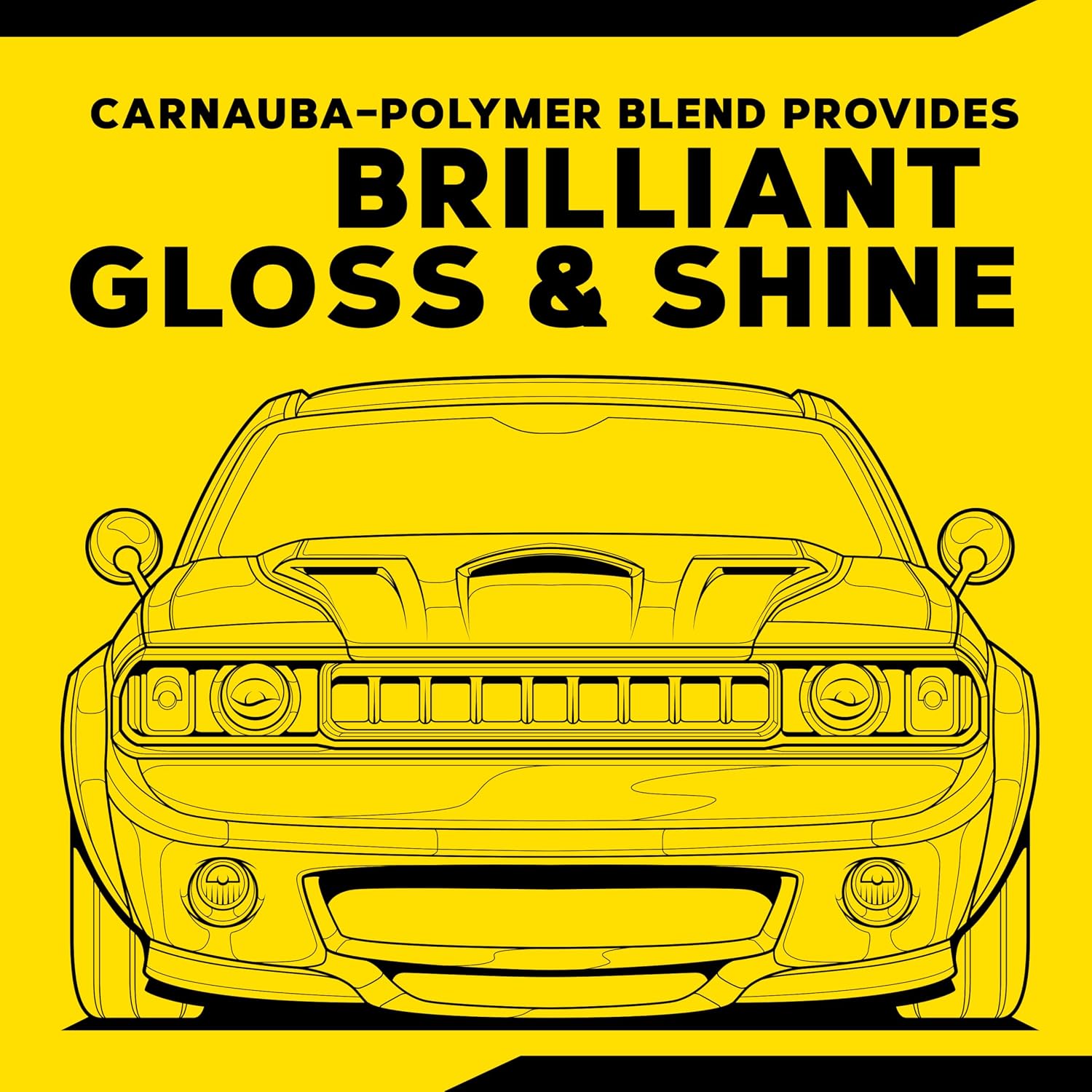 Gold Class Carnauba Plus Premium Liquid Wax Kit, Car Detailing Kit with a Pure Carnauba Wax Blend and a Foam