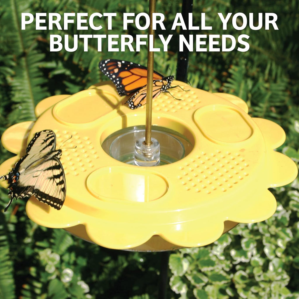 Flutterby 12 oz Outdoor Butterfly Feeder + 7.5 oz Nectar Bundle | Butterfly Feeding Station for Garden with Fruit