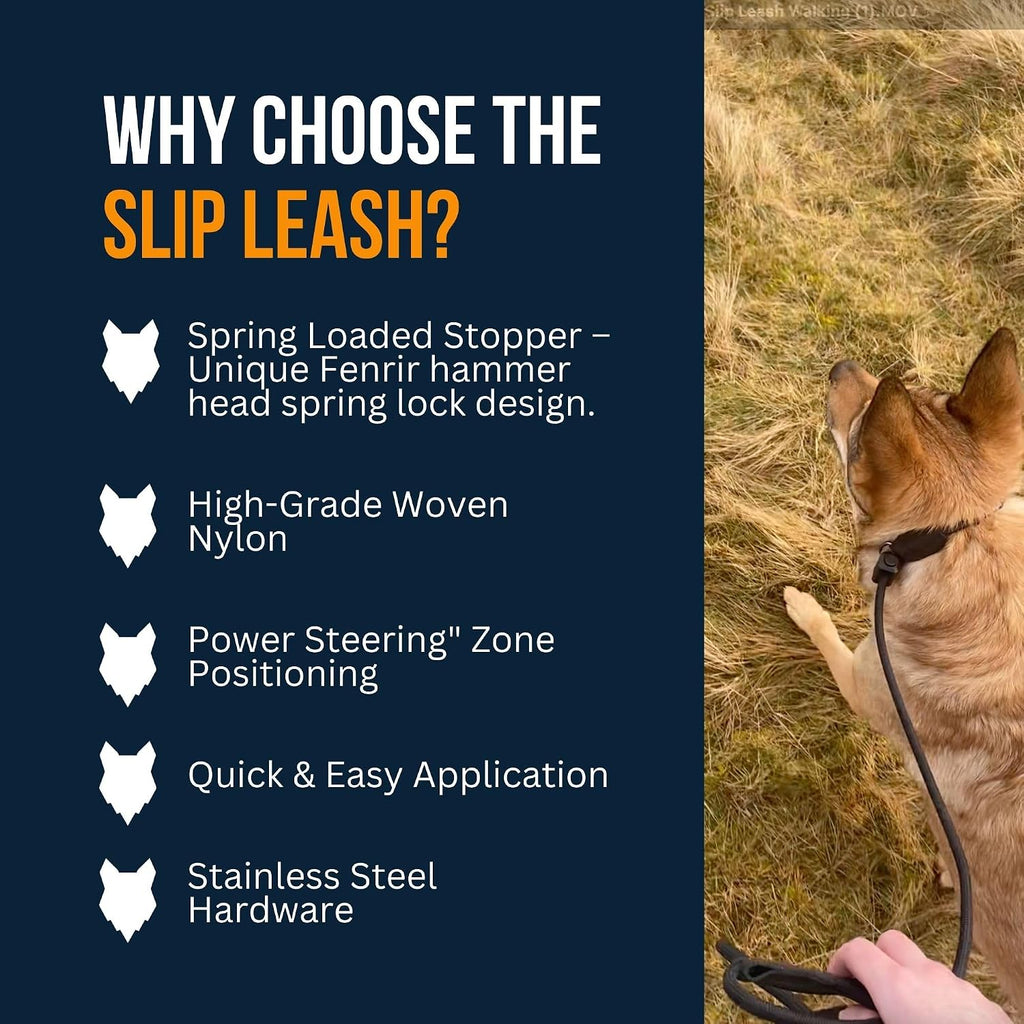 Slip Leash 1.4m Professional Dog Training Lead to Stop Pulling, Perfect for Walks, Easy to Use, Spring Loaded
