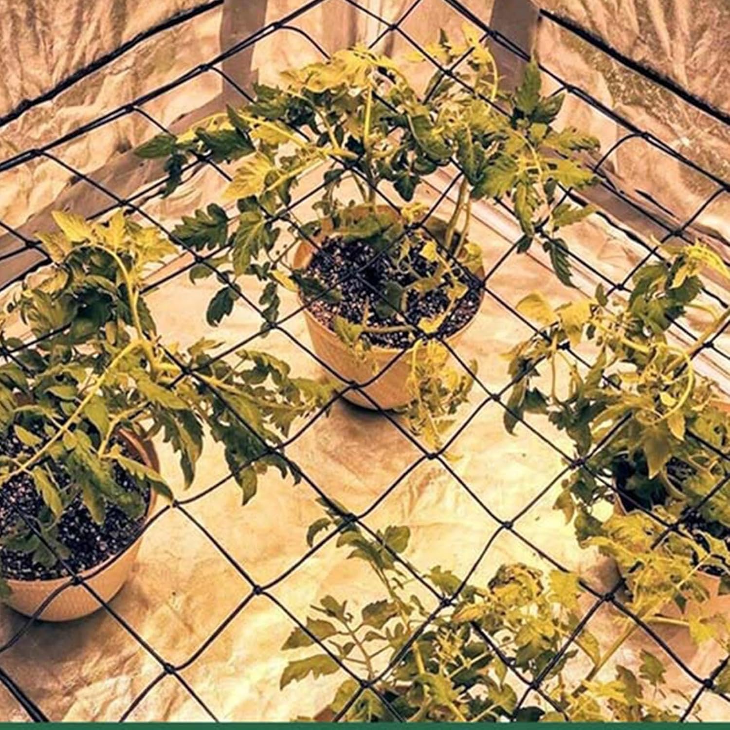 Trellis Netting for Climbing Plants Elastic Tent Support with Hooks | Garden Plant Trellis Netting for Fruits Flowers