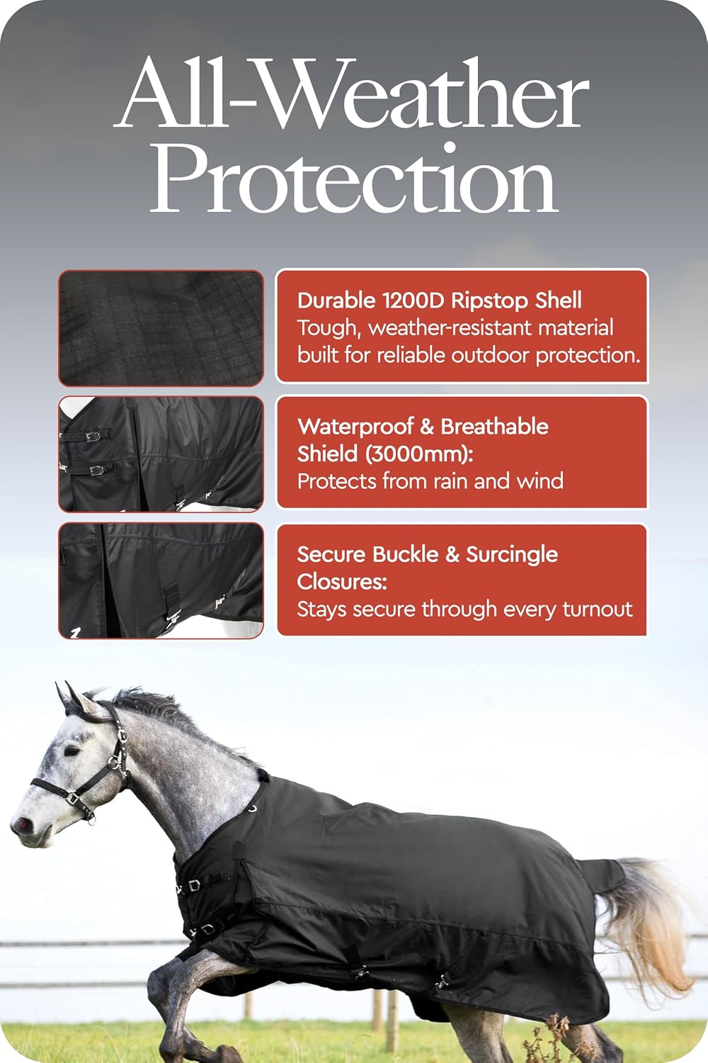 Nevada Medium Weight 1200D Waterproof Horse Turnout Blanket (200g Fill) - Black - 72 in