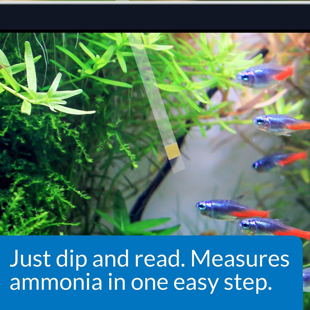 AMMONIA TEST STRIPS Freshwater and Saltwater Aquarium Water Test Strips 25-Test Box