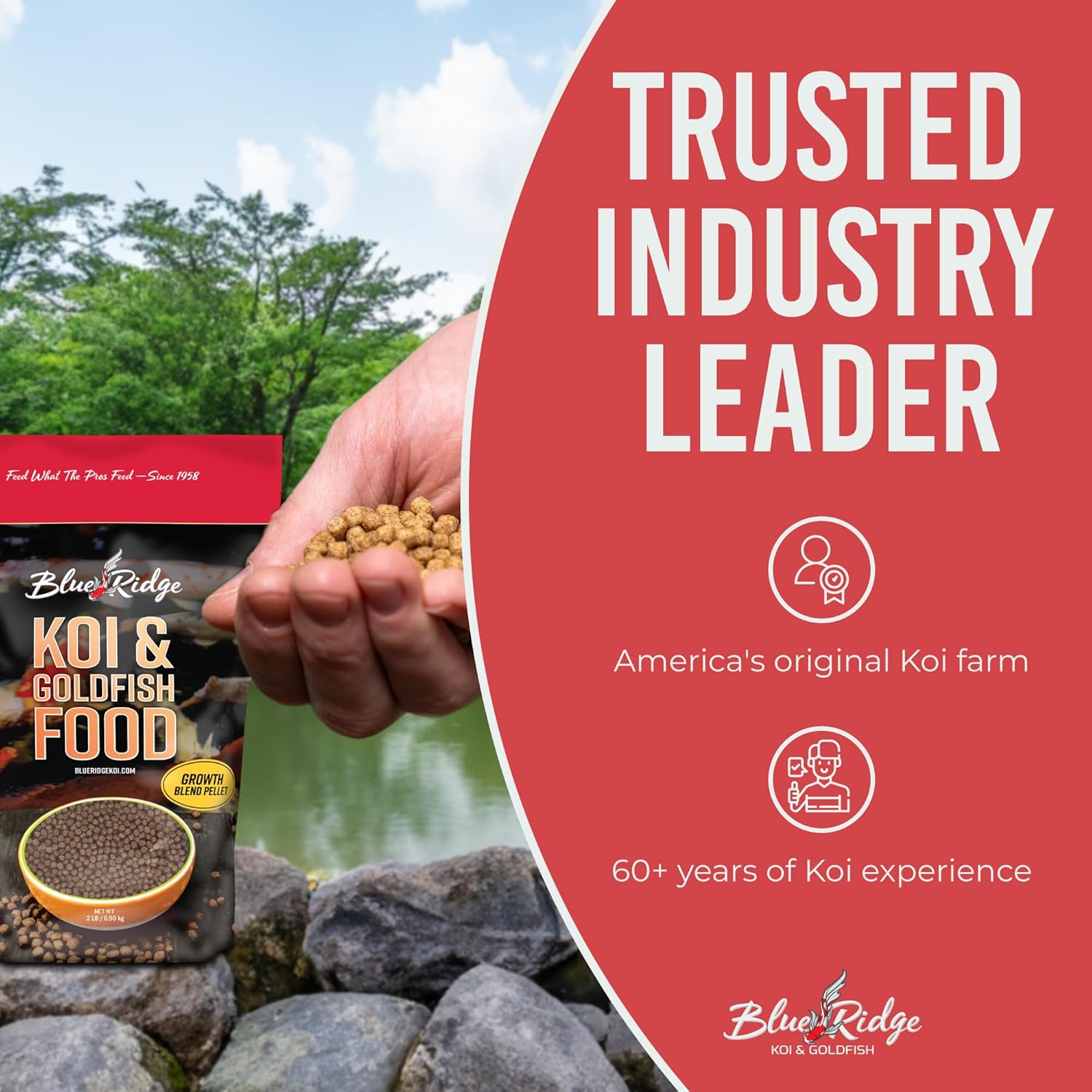 Blue Ridge Koi Fish Food, Growth Formula Blend, 3/16" Pellets, 2 lb | 36% Protein For Active Growth • Large & Mini