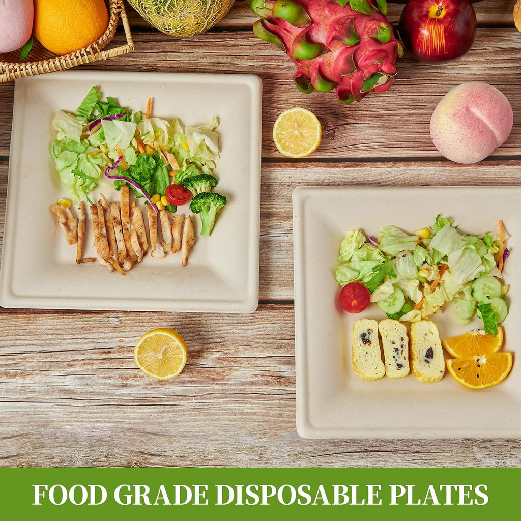 125 Piecs Compostable Square Paper Plates, 6 inch, Nature