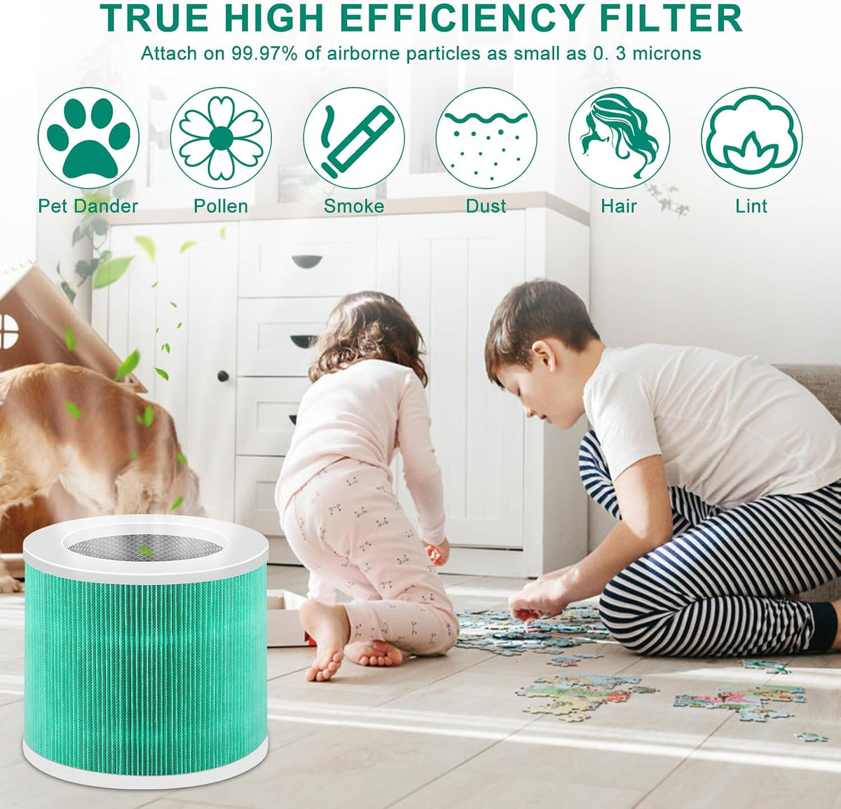 2 Pack HY1800 Replacement Filter Compatible with CHIVALZ/MORENTO