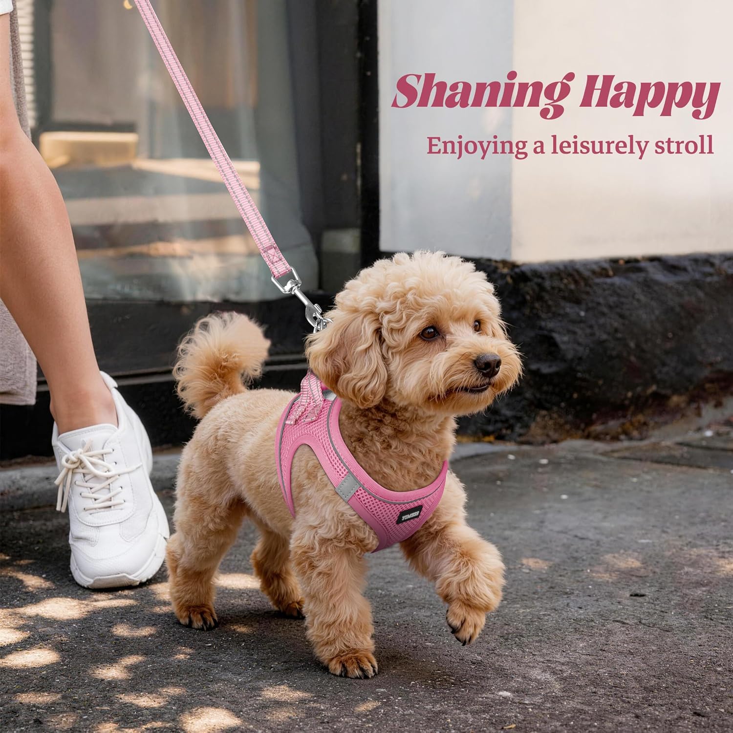 Dog Harness and Leash Set, No Pull Soft Mesh Pet Harness, Reflective Adjustable Puppy Vest for Small Medium Large