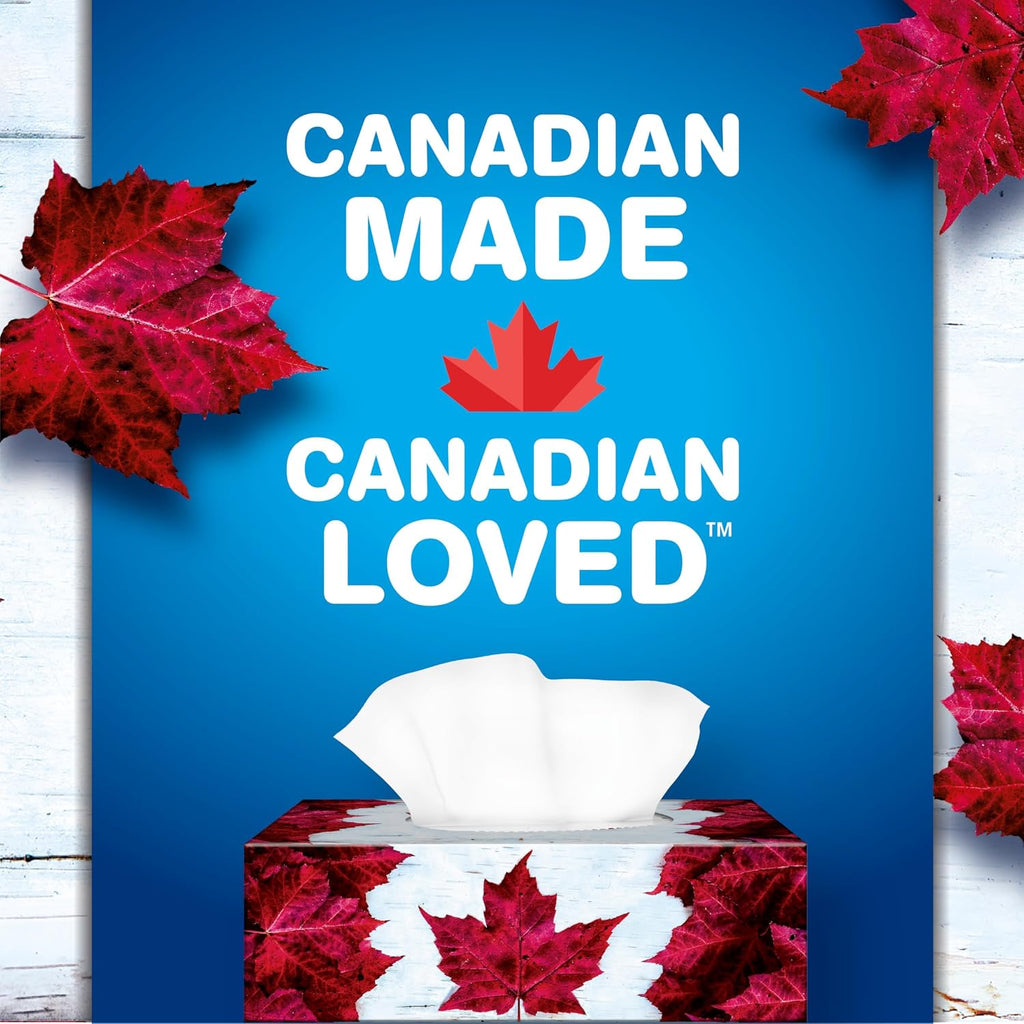 Facial Tissue, 2-ply, 126 sheets per box - 6 Pack (Canadian)