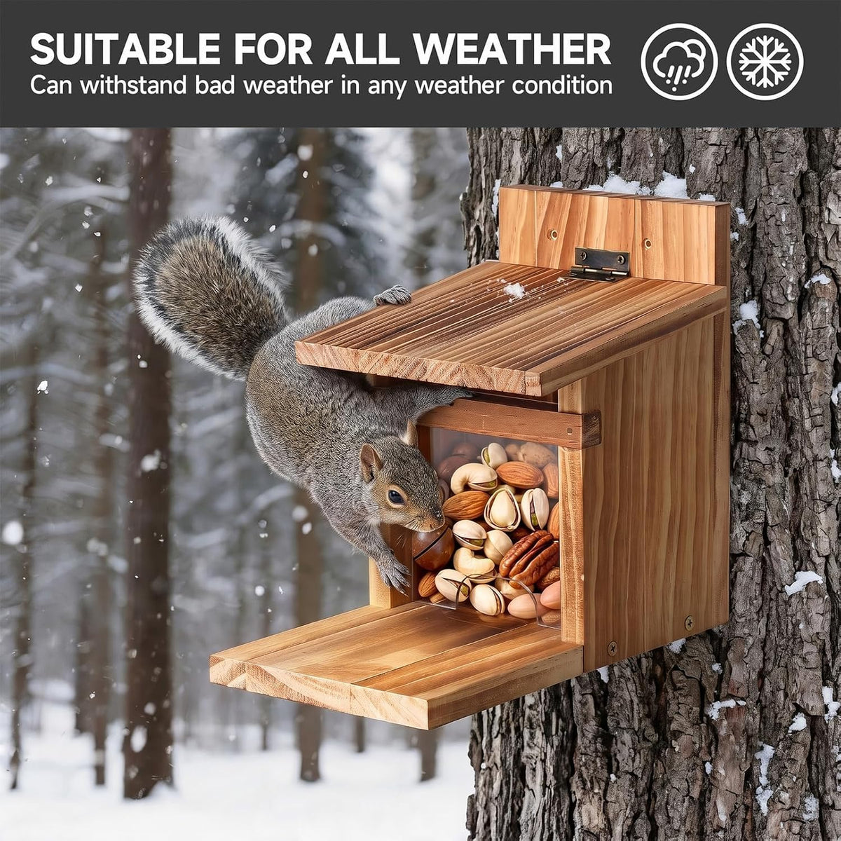 Squirrel Feeders for Outside, Squirrel House for Outdoor - Squirrel Food for Backyard, Chipmunk Feeder, Squirrels