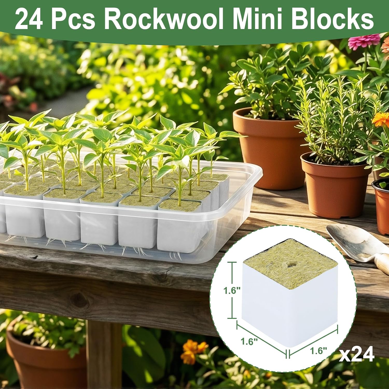 Rockwool Cubes 1.5 Inch – 24 Pack Premium Rock Wool Planting Cubes for Hydroponics, Seed Starting, Cloning &
