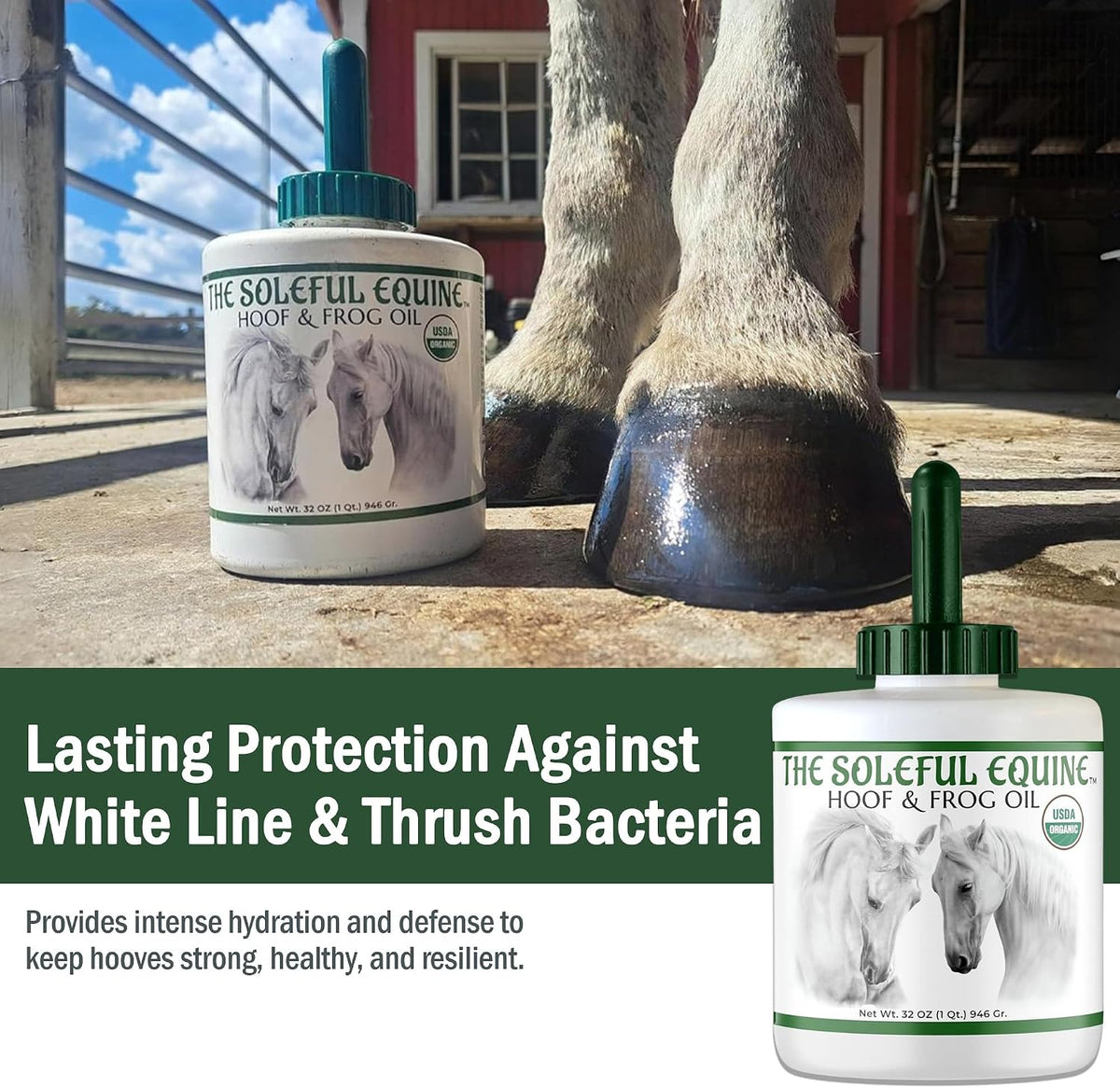 Hoof Oil, Horse Hoof White Line, Thrush, Abscesses, Overall Hoof Strength, Growth, Hoof Conditioning Rehydration.
