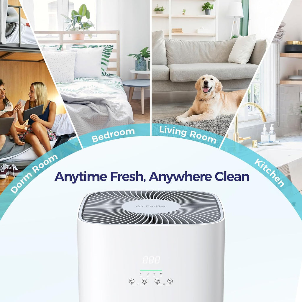 Air Purifier for Home Large Room & Pets, Covers Up to 1800 ft² with CADR 242 CFM, H13 HEPA Filter, Air Quality
