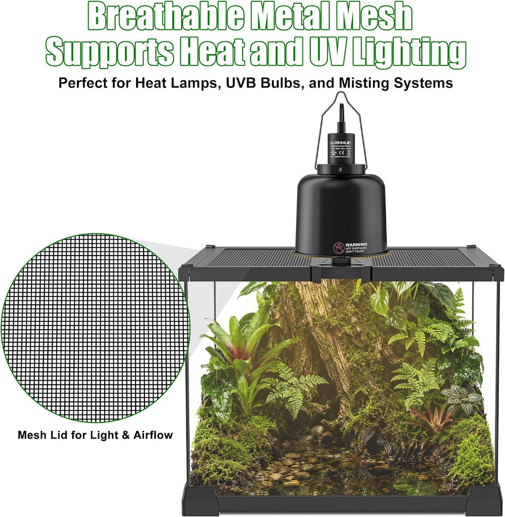 Mini Glass Reptile Enclosure Terrarium 8"x8"x6" | Top-Opening Mesh Lid with Feeding Hole, Fully Assembled Tank for