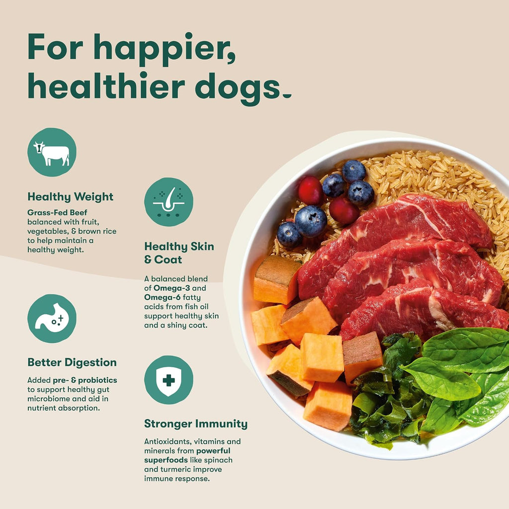 Dry Dog Food - Grass-Fed Beef, Brown Rice & Sweet Potato, 4lb