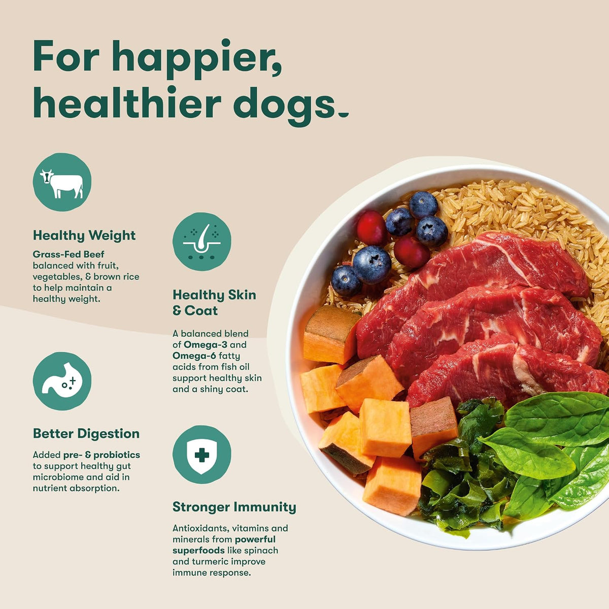 Dry Dog Food - Grass-Fed Beef, Brown Rice & Sweet Potato, 4lb