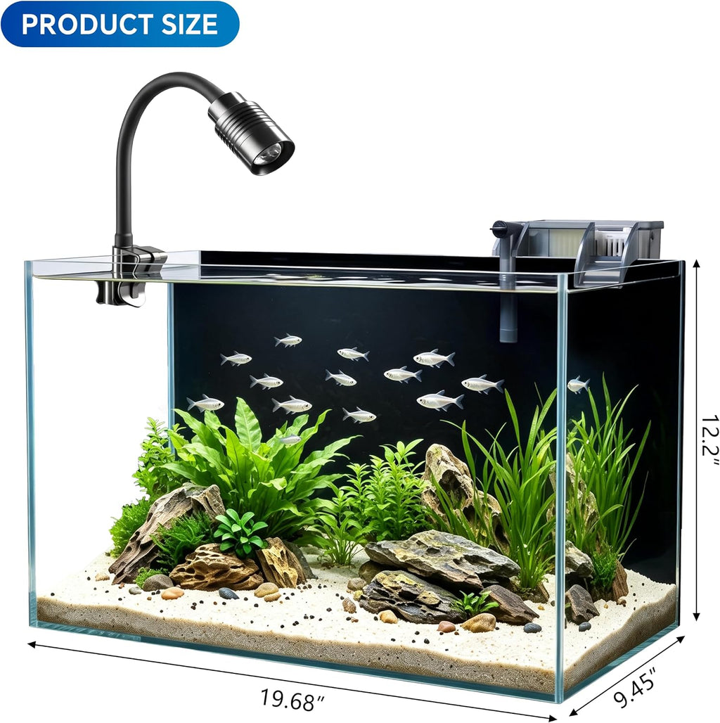 10 Gallon Small Fish Tank Glass Aquarium Complete Kit for Betta Fish