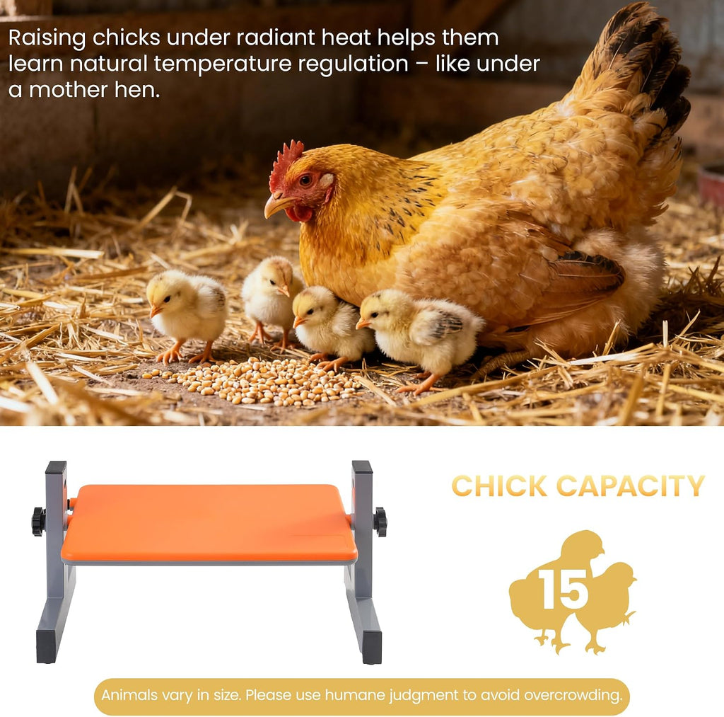 Smart Chick Brooder Heater with Digital Temp & Timer, Adjustable Height & Angle, Radiant Chicken Coop Heater for