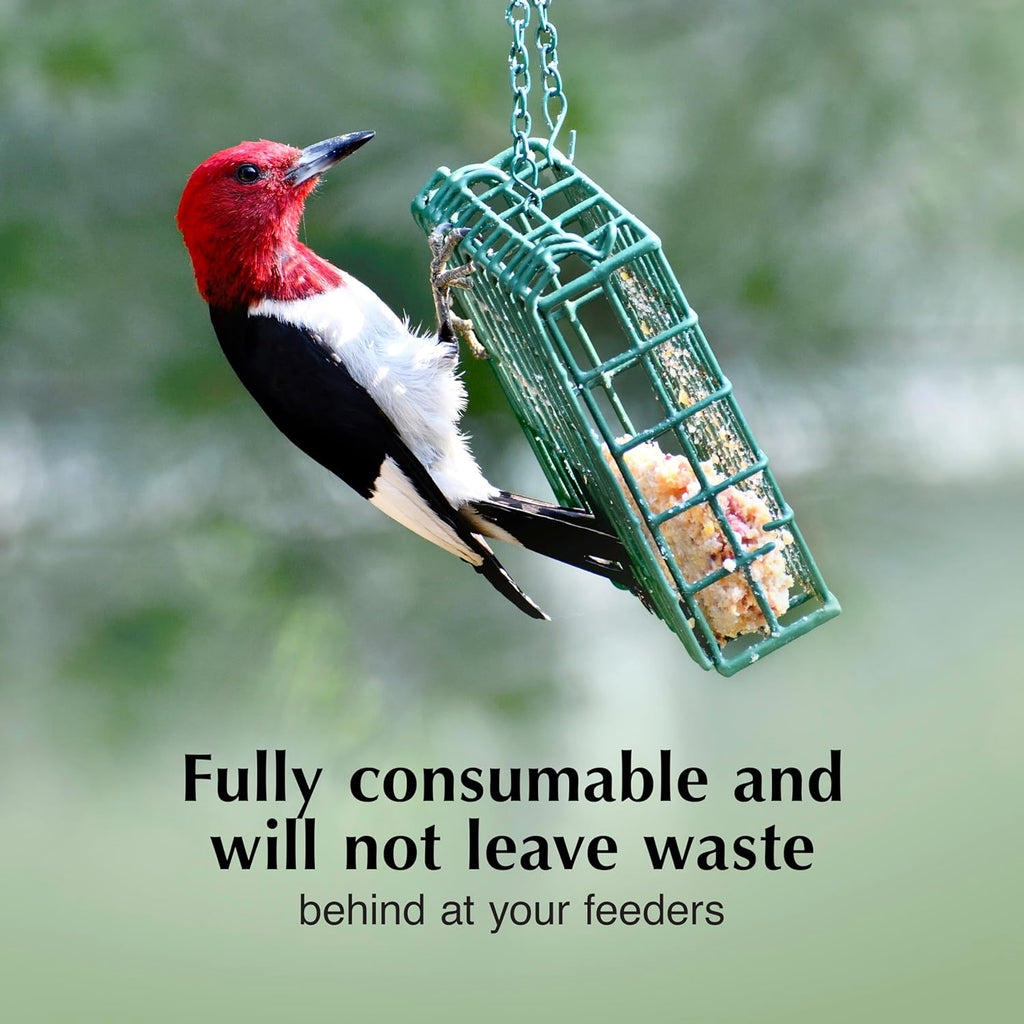 High Energy Delight No Melt Suet Dough, Suet Cakes, Pack of 8 | No melt suet cakes for wild birds with roasted