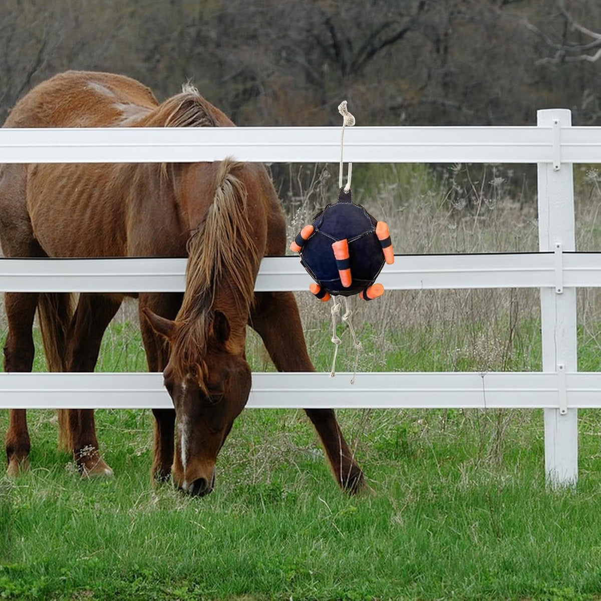 Horse Treat Ball,Carrot Feeder Ball Toy,Horse Enrichment Toys,Interactive Pasture Feederr,Horses,Goat,Stable & Paddock