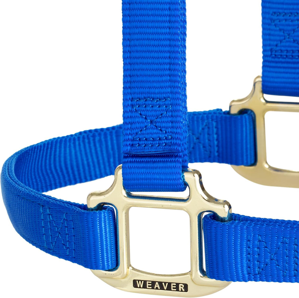 Weaver Leather Original Non-Adjustable Nylon Horse Halter