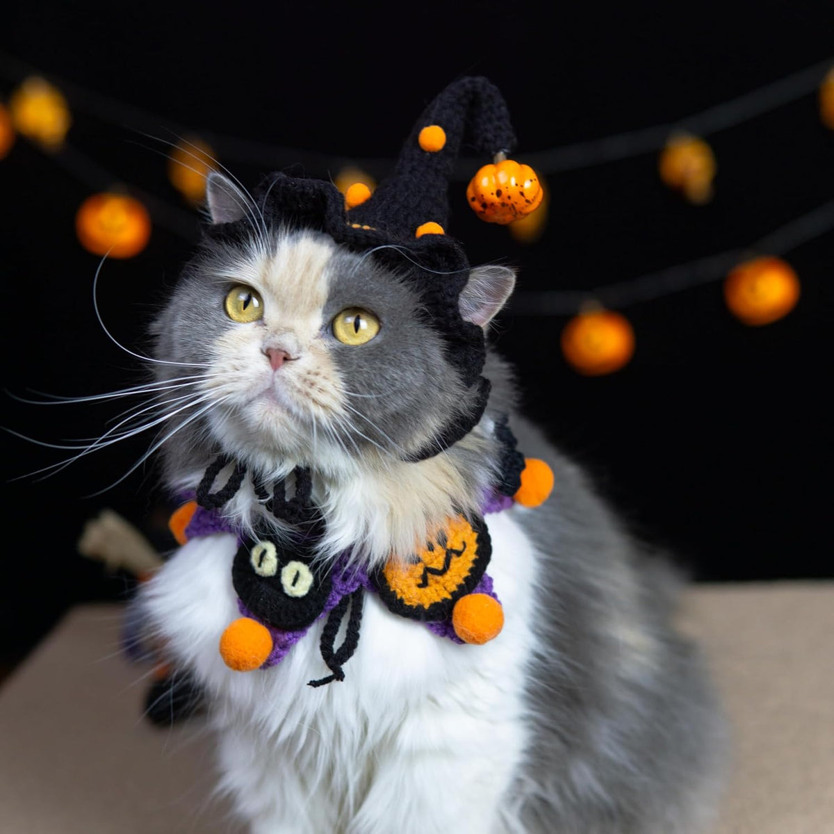Halloween Dog Costume - Black Witch Hat & Halloween Outfit for Cats and Small Sized Dogs,Handmade Festive Halloween
