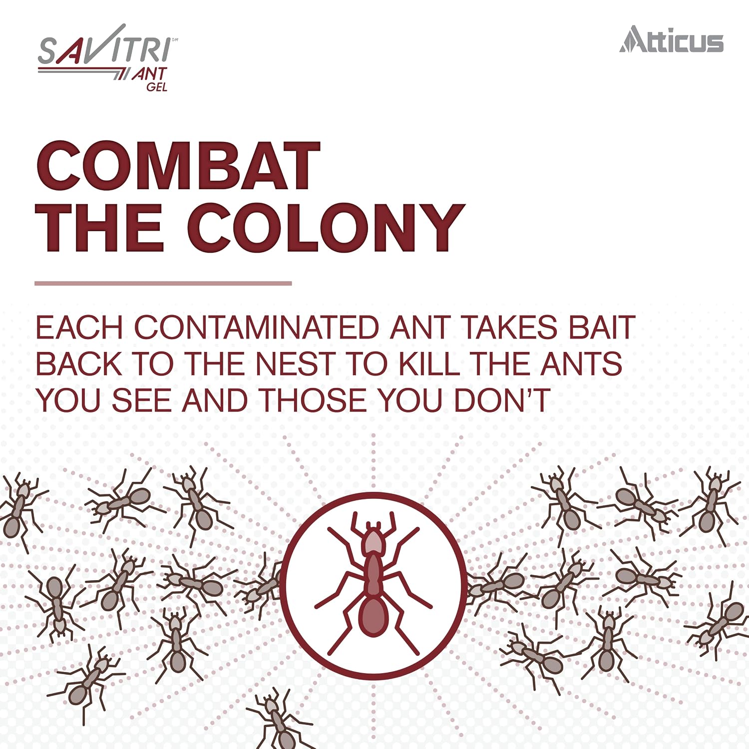 Savitri Ant Gel Bait (4 x 30 Grams) - Indoor and Outdoor Ant Killer