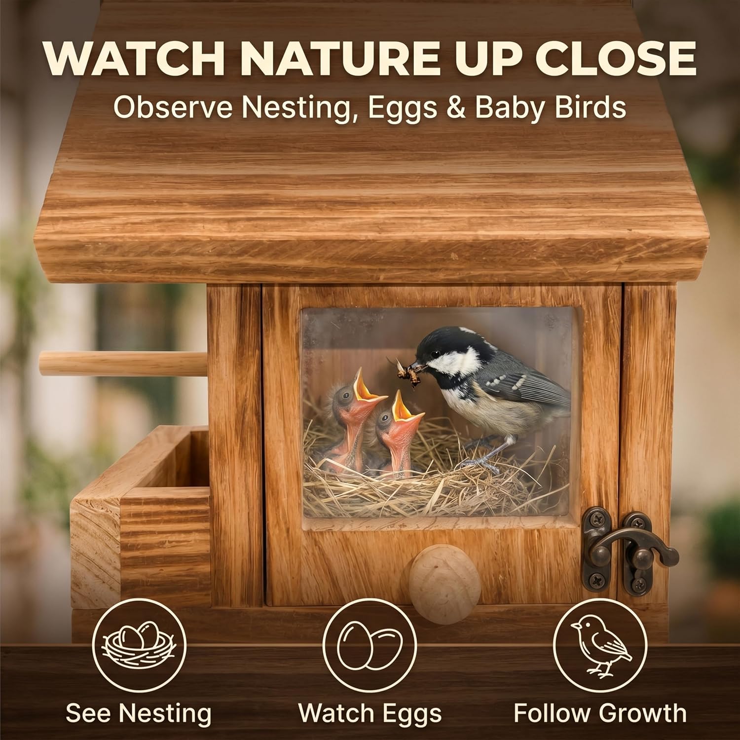 2-in-1 Wooden Bird House for Outside with Feeder, Hanging Birdhouse, Clear Window & EasyClean Door, Carbonized Solid